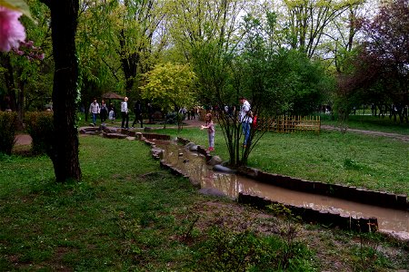 japanes_garden_rain_Herastrau (5)