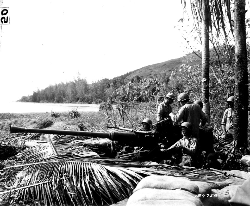 SC 184758 - Crew manning Bofors gun two minutes before opening fire on Jap installations in New Guinea, using their AA gun as field artillery weapon.