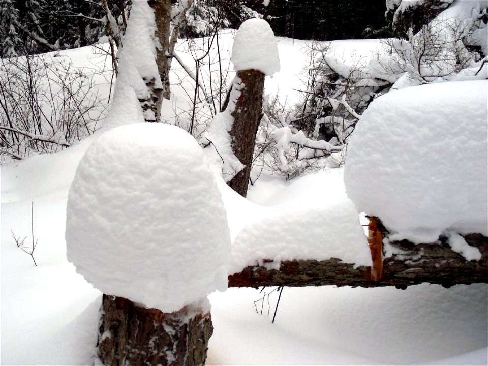 Winter at Seney National Wildlife Refuge