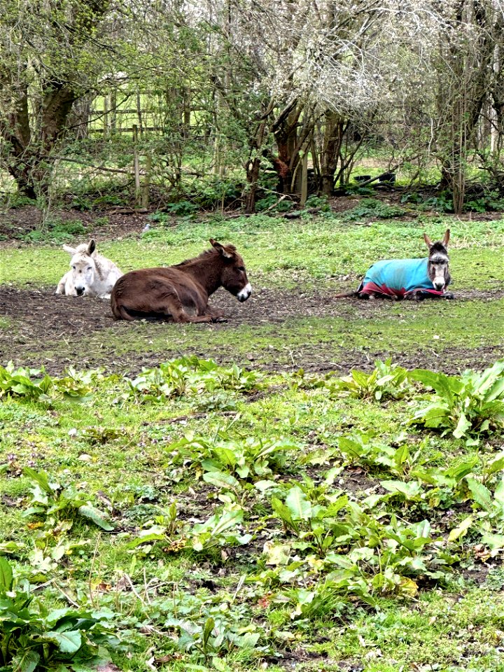 It might rain? It might not? Let’s just sit and think a while?
