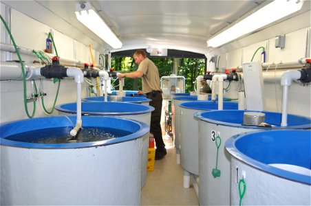 Sturgeon Streamside Rearing Unit