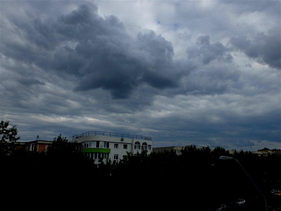 nori-sediu2015_0526_164856
