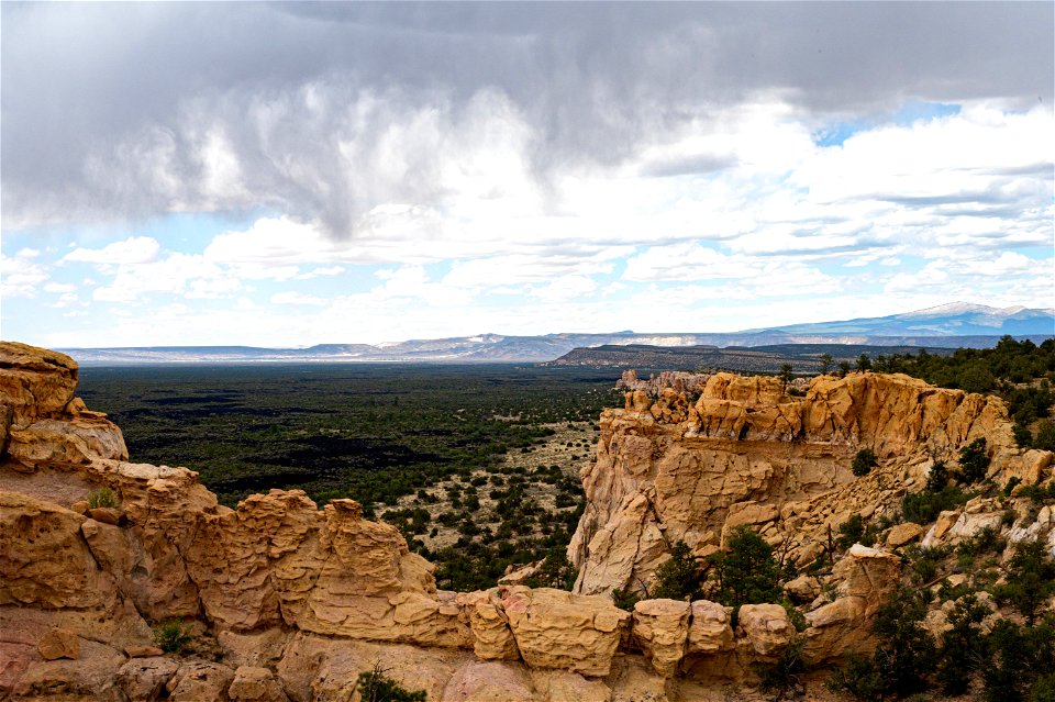 New Mexico Fuels Project