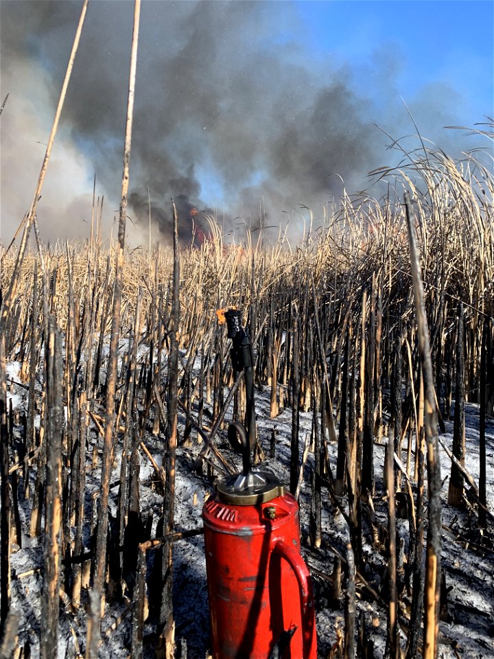 2021 USFWS Fire Employee Photo Contest Category: Fuels Management