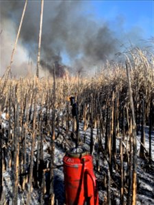 2021 USFWS Fire Employee Photo Contest Category: Fuels Management photo