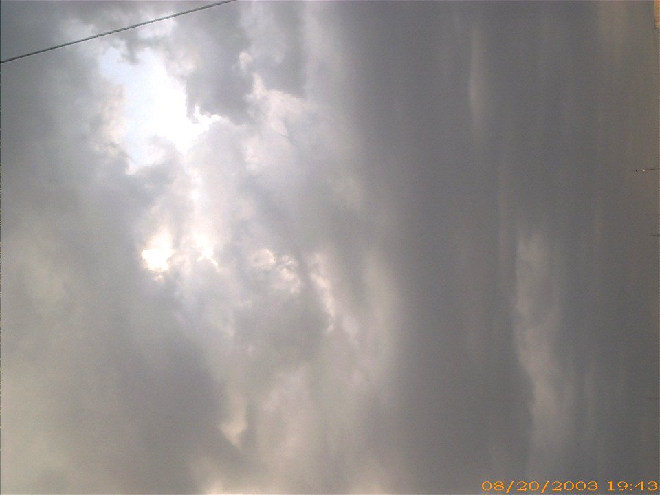 apus-caleavitan2003_0821_104404_16713430803_o