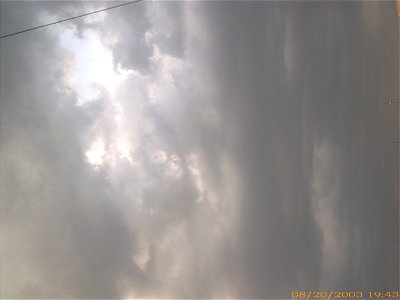 apus-caleavitan2003_0821_104404_16713430803_o