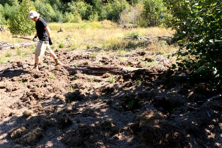20210925-FS-GP-Trout Lake Creek Beaver Pond planting project with Cascade Forest Conservancy 06- by Ken Meyer.