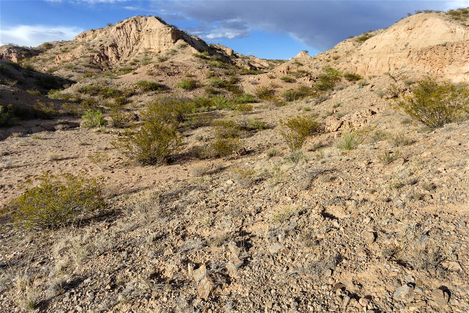 Arroyo de Tio Bartolo