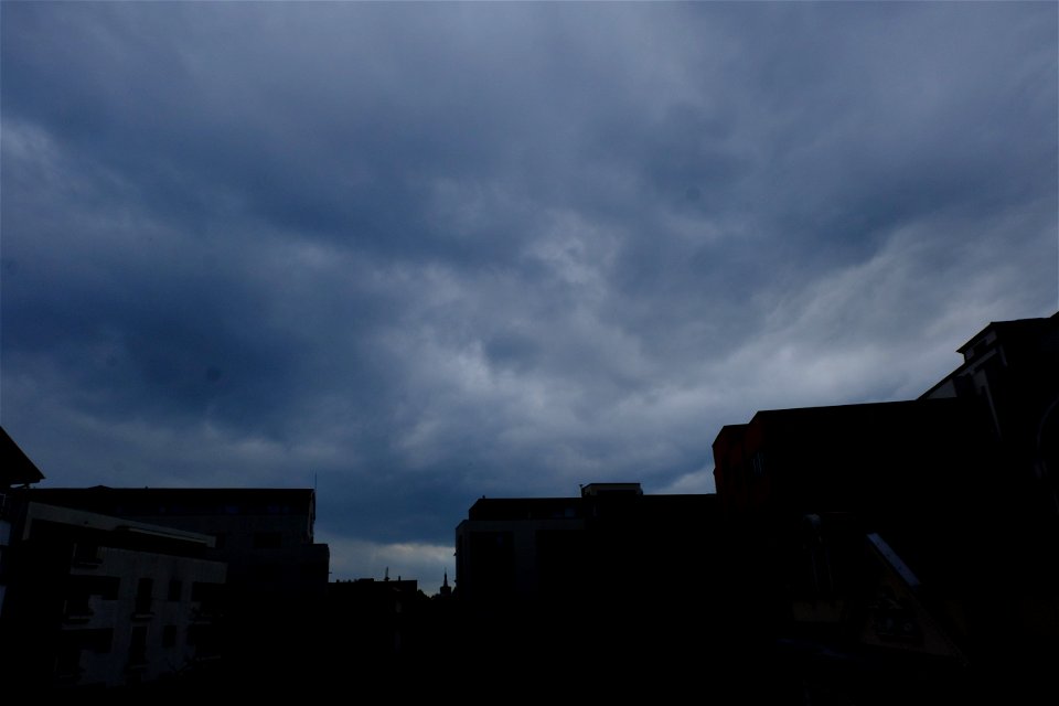 nori-sediu2015_0617_171750