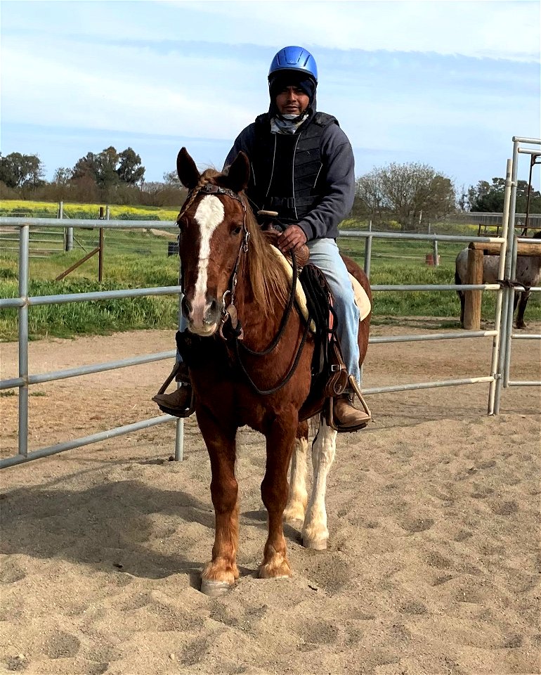Socks under saddle