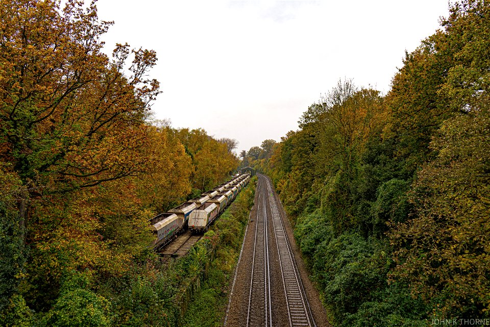 Medway Valley Line Allington Quarry. Autumn Trees