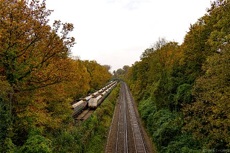 Medway Valley Line Allington Quarry. Autumn Trees photo