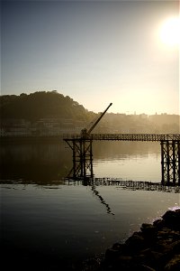 _DSC5103