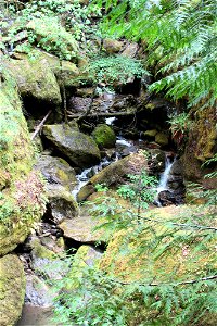 img_1508_cavitt-creekjpg_49364646037_o