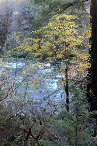 img_2085_view-of-nu-river-from-trail3jpg_49364044013_o