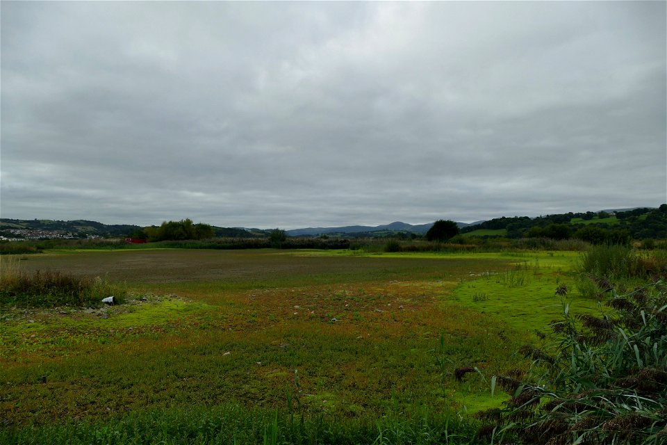 Boardwalk Viewpoint 3