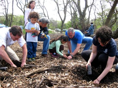 Dan Ashe and Tom Melius Plant Seedlings with Chicago participants photo