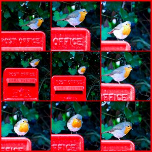 Christmas Robin Postbox