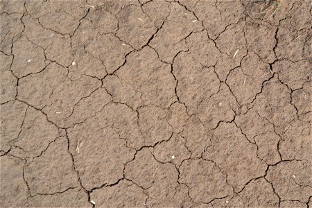 Free textures with cracks