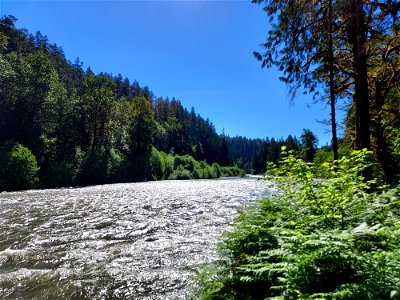Sauk River from the Old Sauk Trail, Mt. Baker-Snoqualmie National Forest. Photo by Anne Vassar June 2, 2021.