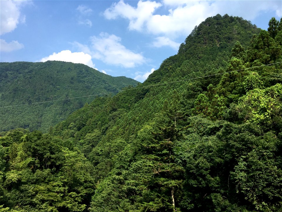 Hikawa in Okutama-machi