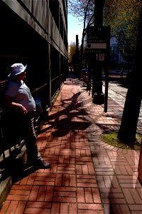 Streets of Portland OR