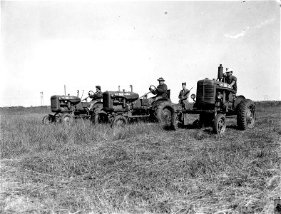 SC 184879 - German war prisoners at Camp Wallace, Texas, shown as they pause briefly with their mowing machine during a grass cutting detail near the camp.
