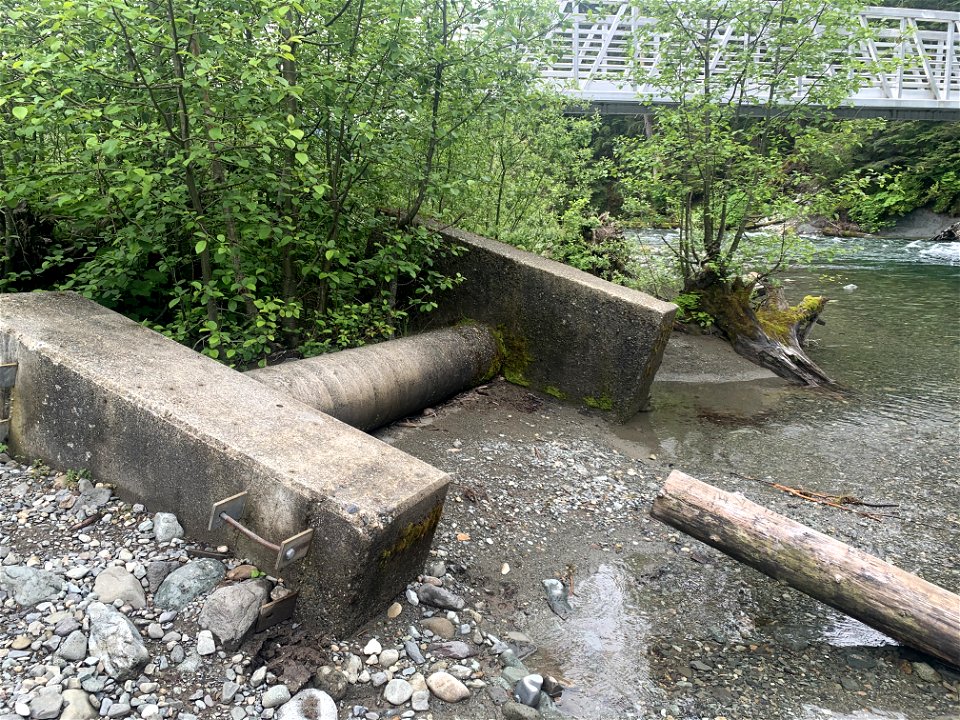 Big 4, Mt. Baker-Snoqualmie National Forest. Photo by Sydney Corral June 28, 2021