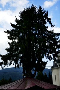 monastery_Caraiman2018_0826_180049