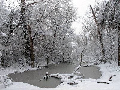Winter on the Refuge photo