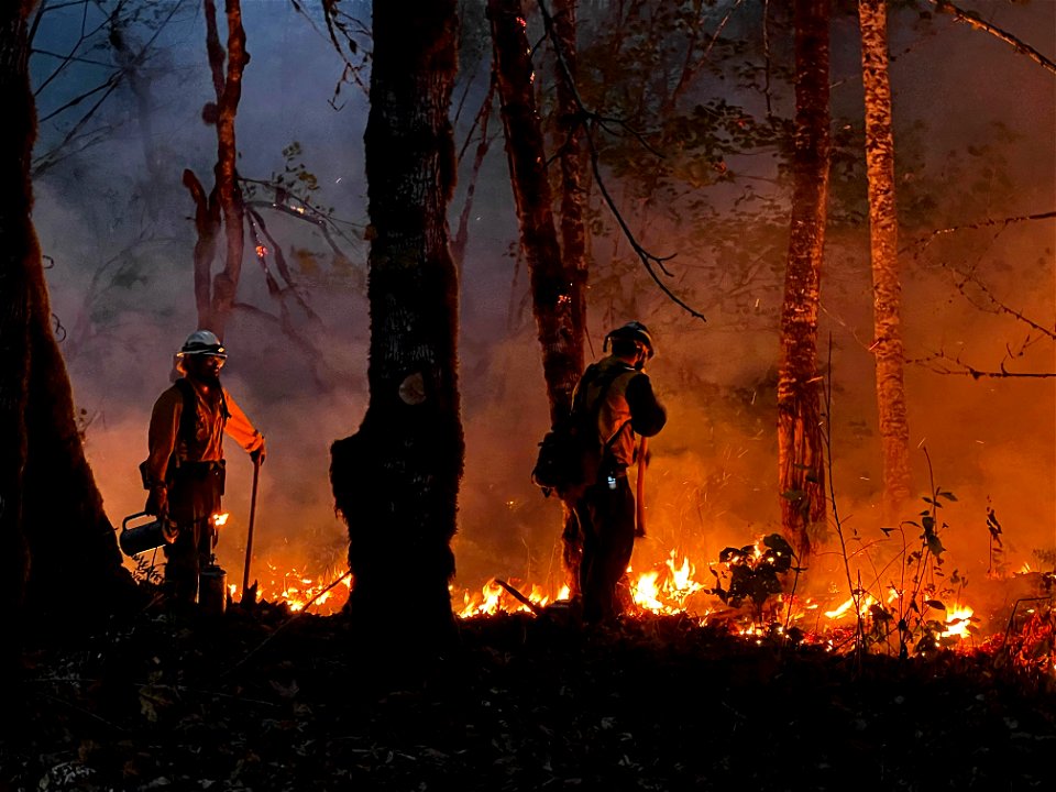Burn Ops, Bolt Creek Fire, Washington