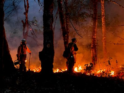 Burn Ops, Bolt Creek Fire, Washington photo