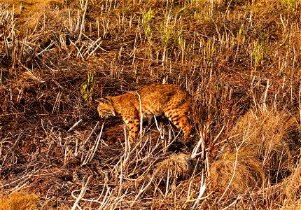 DSC09428_v1