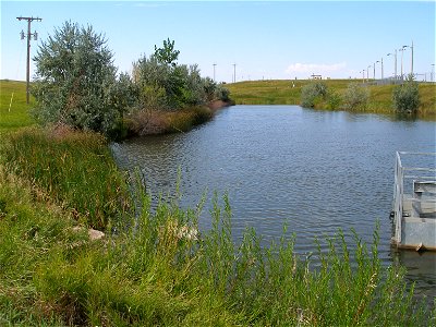 Wetland at Air Force Base