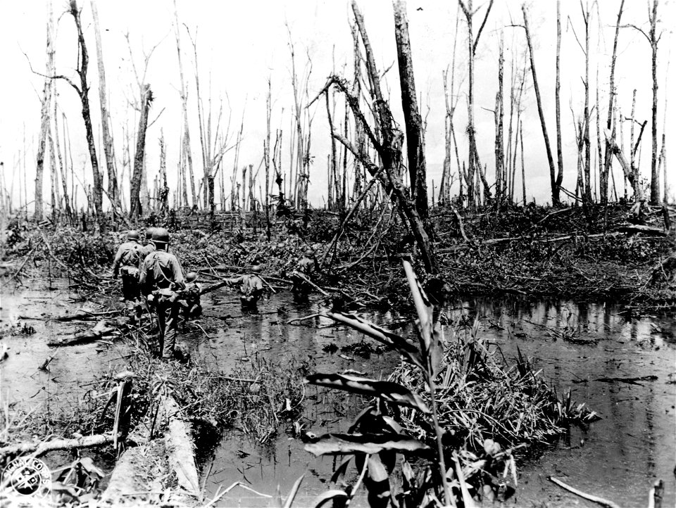 SC 334750 - Troops of Companies E and G, 132nd Inf. Regt., 23rd Division, cross a stream in an area devastated by shellfire during their advance on Japanese pillboxes near the Torokina River. 7 April, 1944.