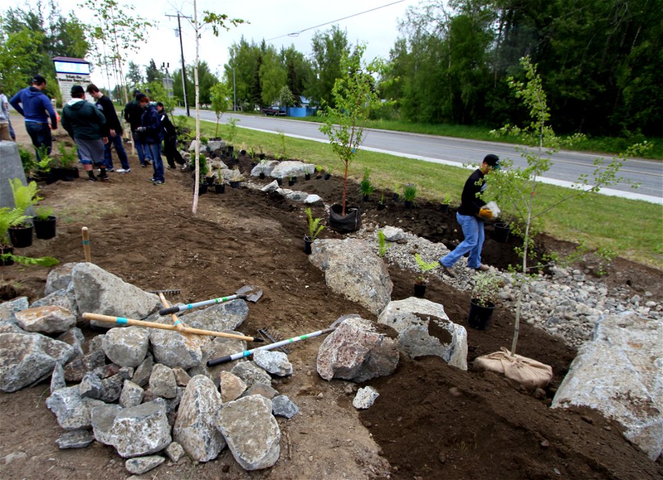 Rain Garden Installation