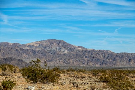 Joshua Tree National Park
