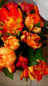 flori_flowers-wife-2023_0216_162021