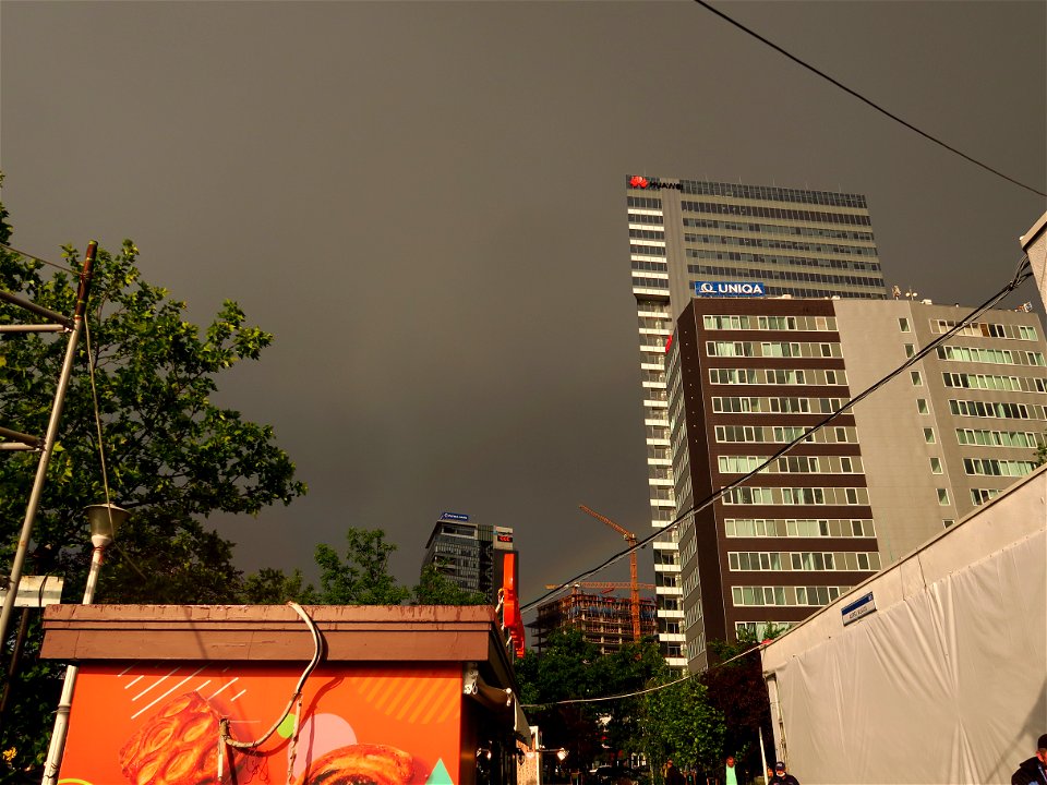 img_4630_50346616287_o