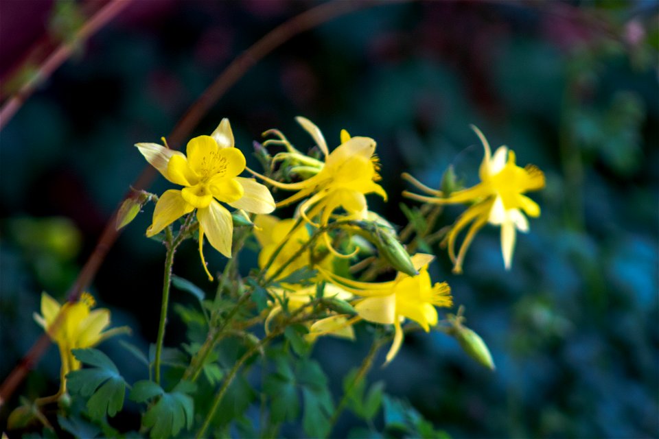 Springtime - West Fork of Oak Creek Trail #108