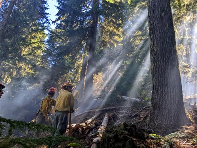 20220810-14-GP-Mcoy Peak fire 03 by Juno Barnett