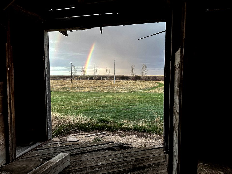 Barn Framed Rainbos