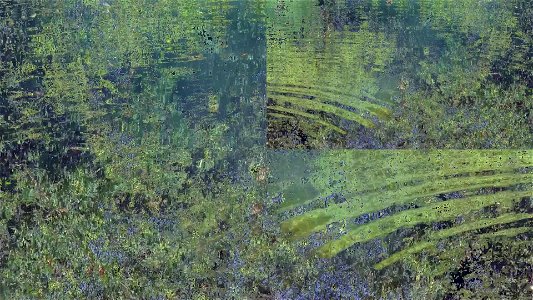 Reflets à rebours (extraits)
