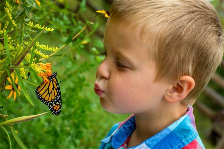 Kissing a monarch photo