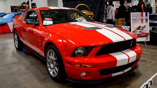 2007 Ford Shelby GT500 photo