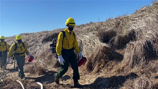Siuslaw Oregon Dunes Prescribed Burn 2022