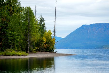 Sprague Creek Picnic Area Shoreline