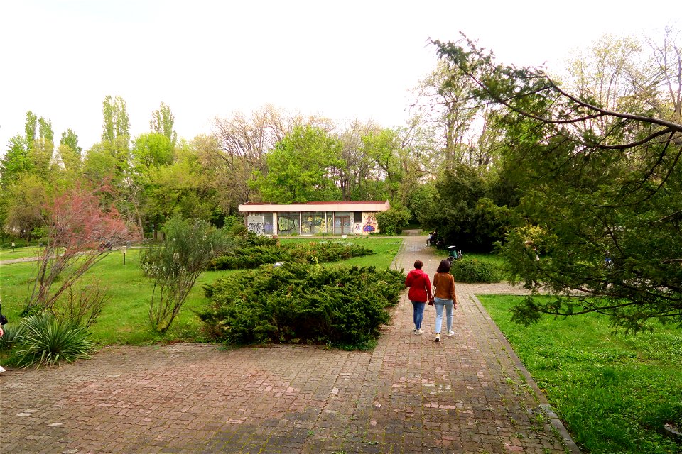 japanes_garden_rain_Herastrau (27)