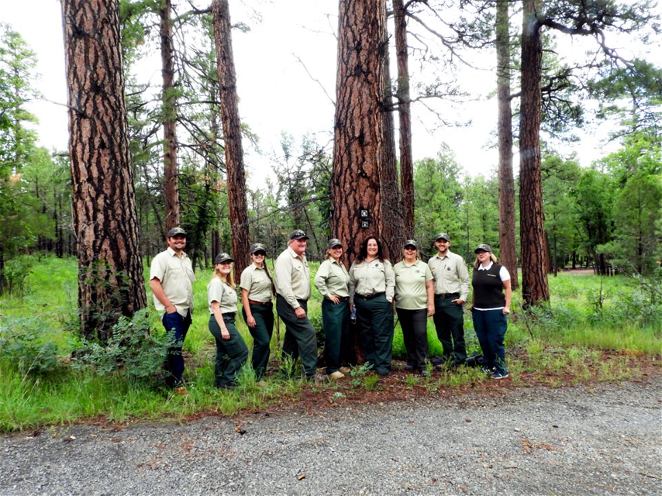 Forest Service staff